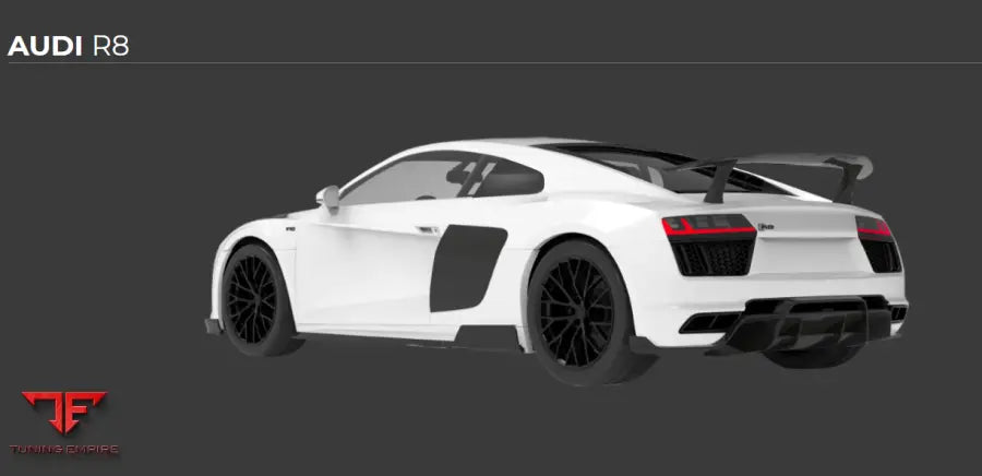 1016 AUDI R8 carbon parts
