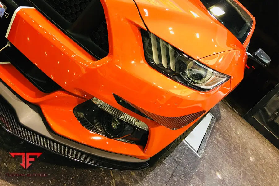 FORD MUSTANG AR STYLE CARBON FIBER CANARDS BSD