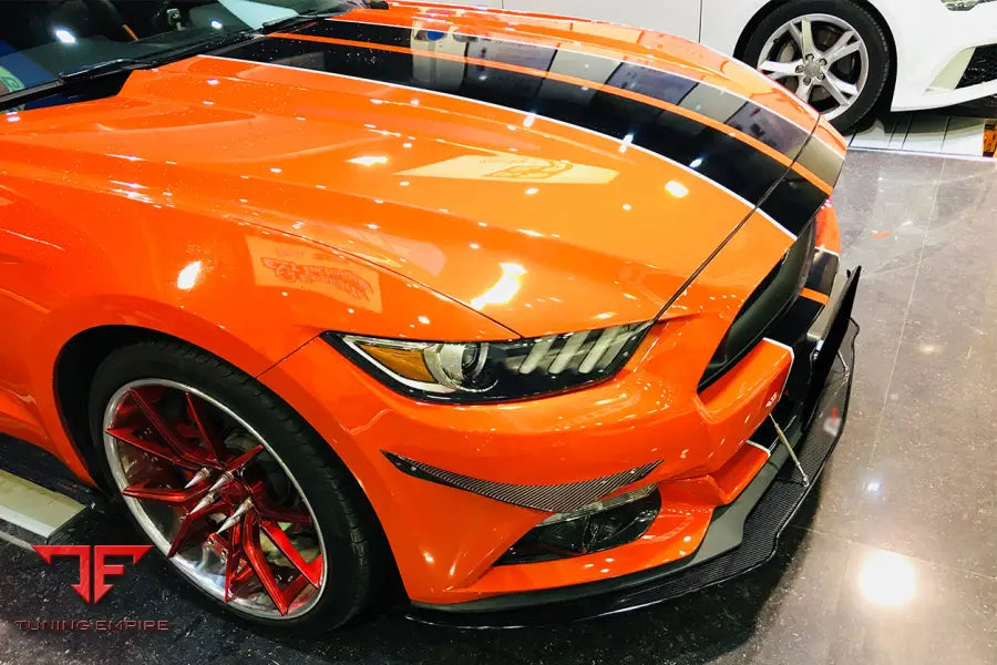 FORD MUSTANG AR STYLE CARBON FIBER CANARDS BSD