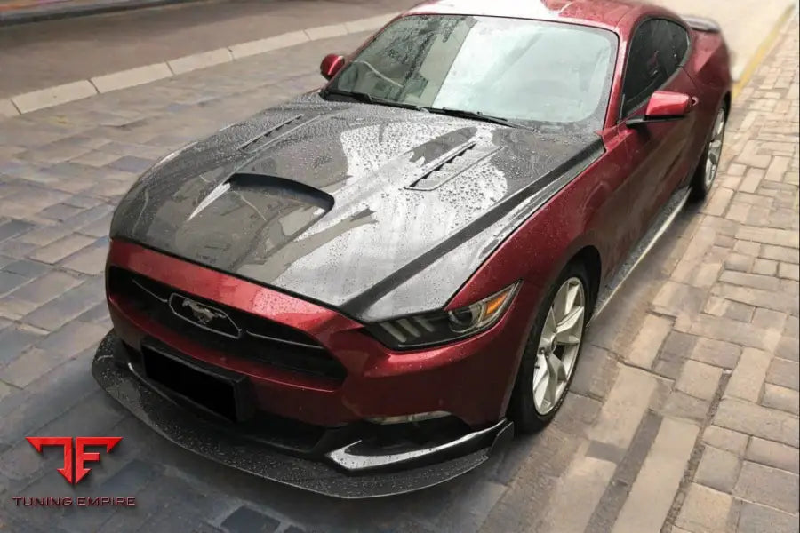 FORD MUSTANG GT & V6 TRU STYLE HOOD BSD