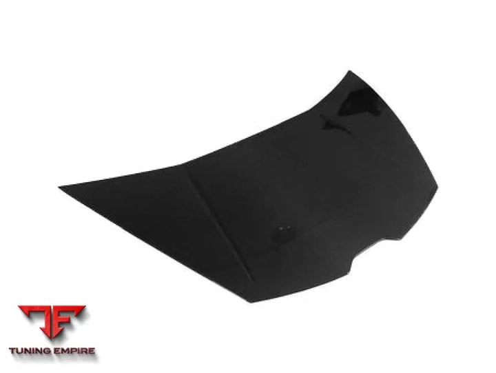 LAMBORGHINI HURACAN LP610 & LP580 & EVO & TECNICA OEM STYLE CARBON FIBER HOOD BSD