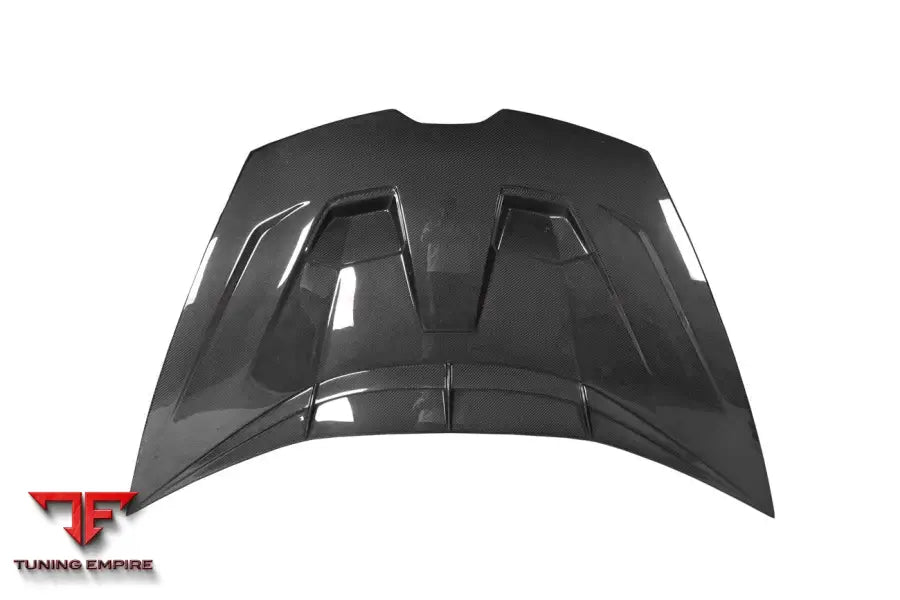 LAMBORGHINI HURACAN LP610 & LP580 & EVO & TECNICA VRS STYLE CARBON FIBER HOOD BSD