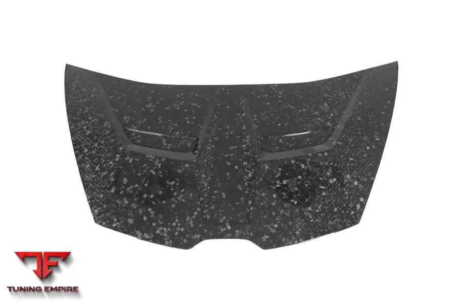 LAMBORGHINI HURACAN LP610 & LP580 & EVO & TECNICA VRS STYLE CARBON FIBER HOOD BSD