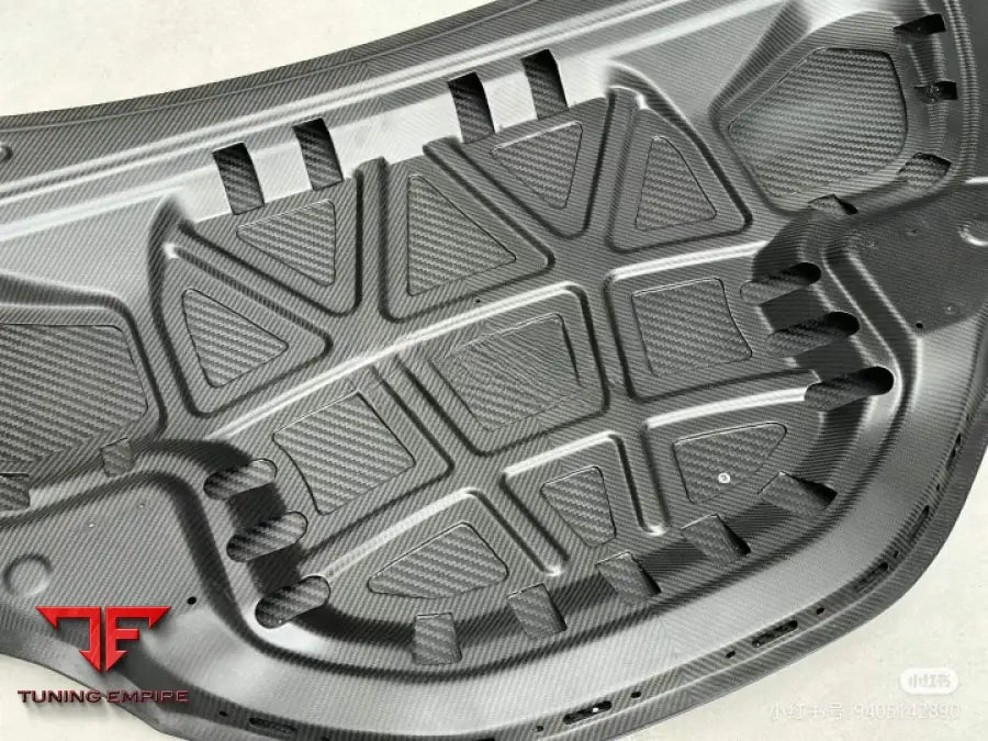 LOTUS ELETRE CARBON HOOD