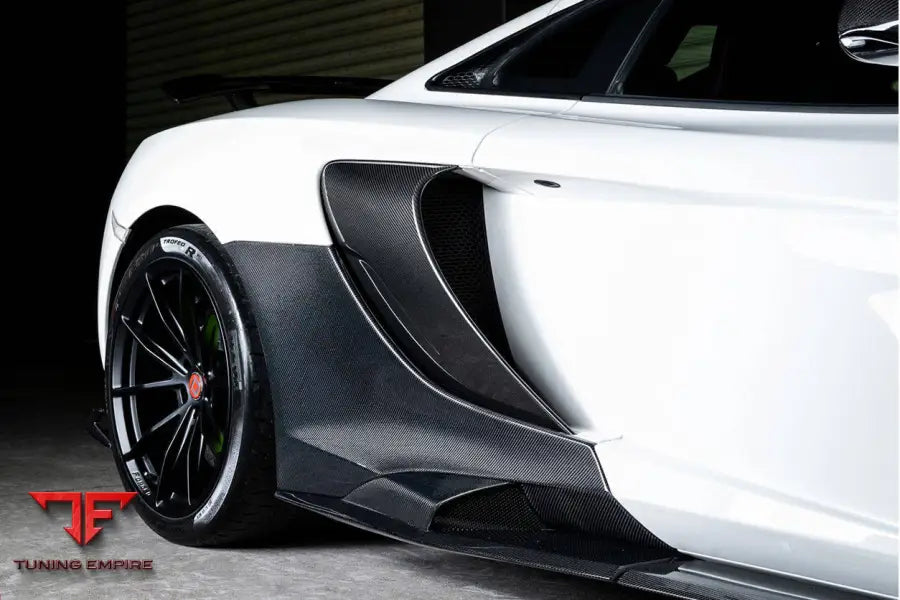 MCLAREN 650S OEM STYLE CARBON FIBER TUNING VEINS INTAKE BLADES BSD