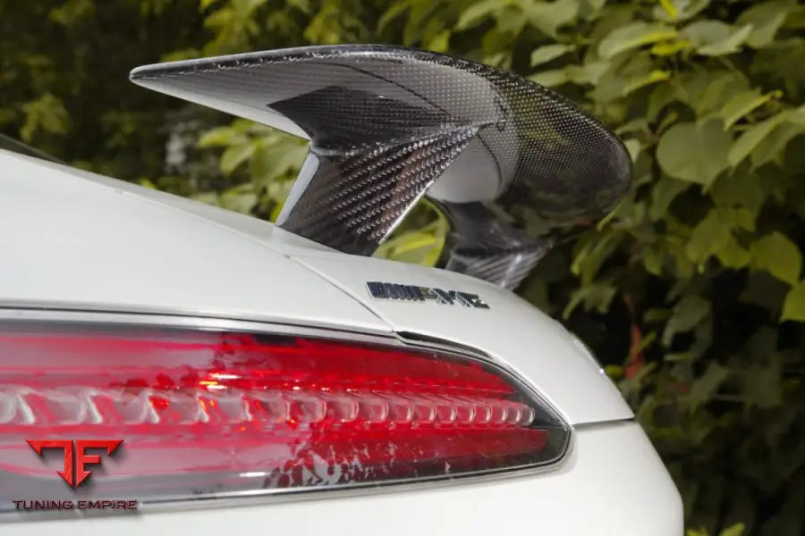 MERCEDES BENZ AMG GT C190 EDITION 1 CARBON PARTS