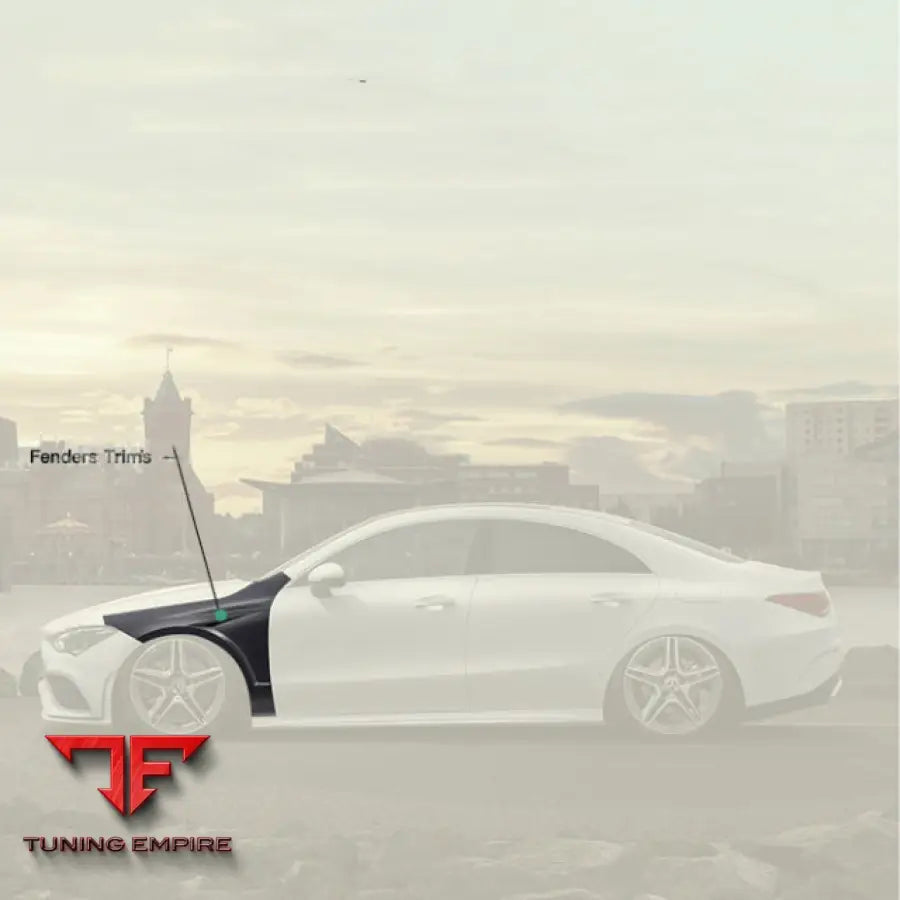 MERCEDES BENZ CLA45 DRY CARBON PERFORMANCE FENDERS