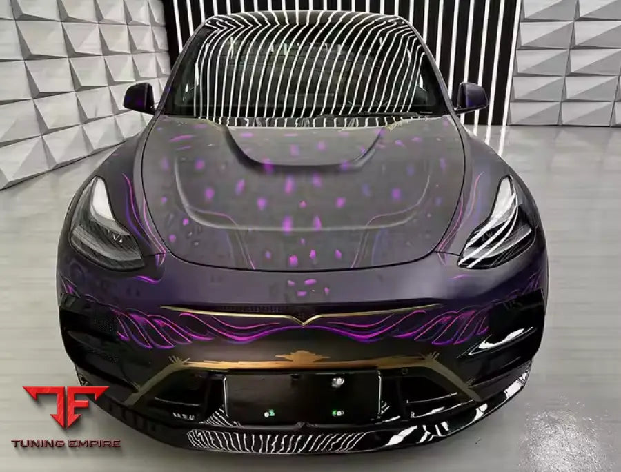 TESLA MODEL Y CARBON BODY KITS PARTS